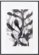 På billedet ser du variationen Illustration, Herbaceous fra brandet House Doctor i en størrelse 42 x 59,4 cm. i farven Sort