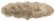 På billedet ser du variationen Lammeskind, New Zealand longseat fra brandet Preform i en størrelse B: 55 cm. L: 150 cm. i farven Antikgrå