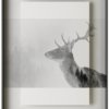 På billedet ser du variationen Simple art deer 1, Illustration m. ramme fra brandet House of Sander i en størrelse H: 3 cm. B: 60 cm. L: 90 cm. i farven Hvid/Sort