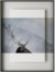 På billedet ser du variationen Simple art deer 3, Illustration m. ramme fra brandet House of Sander i en størrelse H: 3 cm. B: 60 cm. L: 90 cm. i farven Multifarvet