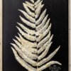 På billedet ser du variationen Cozy, Ramme, Fyrtræ fra brandet Creative Collection i en størrelse H: 100 cm. L: 70 cm. i farven Natur