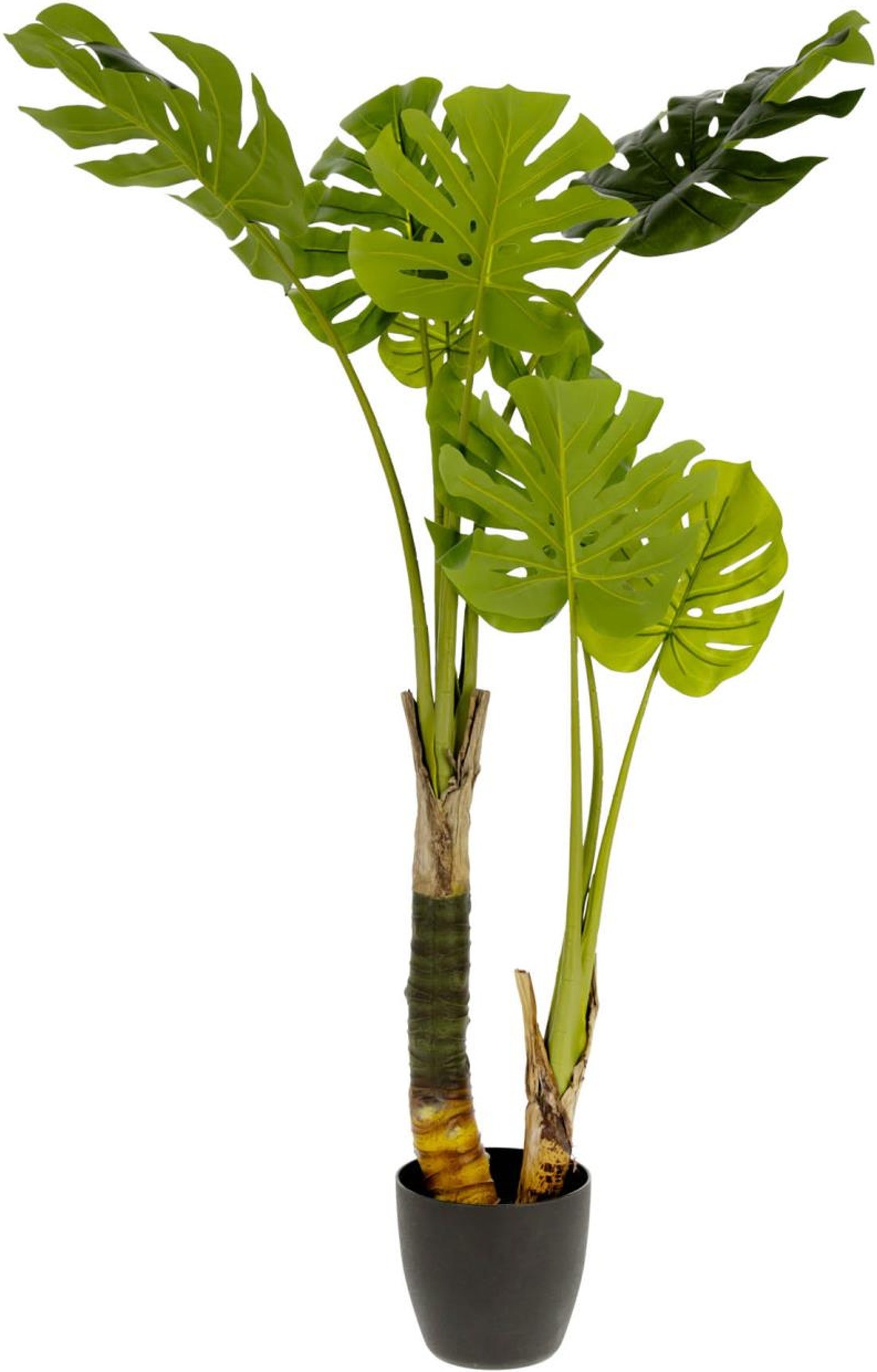 Monstera, Kunstig plante, moderne, kolonial, plast by Kave Home (H: 130 cm. B: 60 cm. L: 60 cm., Grøn/Sort)