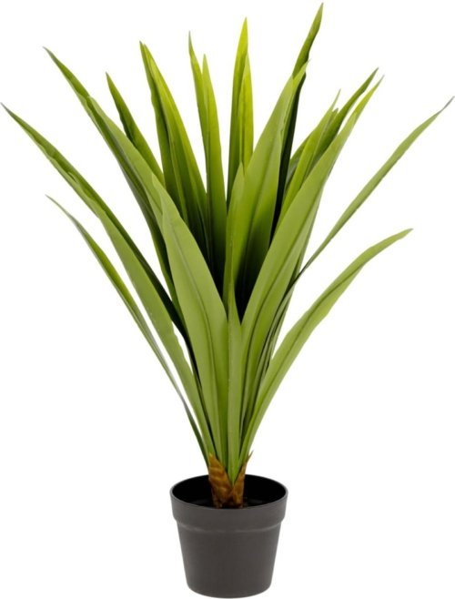 På billedet ser du variationen Yucca, Kunstig plante, moderne, plast fra brandet LaForma i en størrelse H: 80 cm. B: 60 cm. L: 60 cm. i farven Grøn/Sort