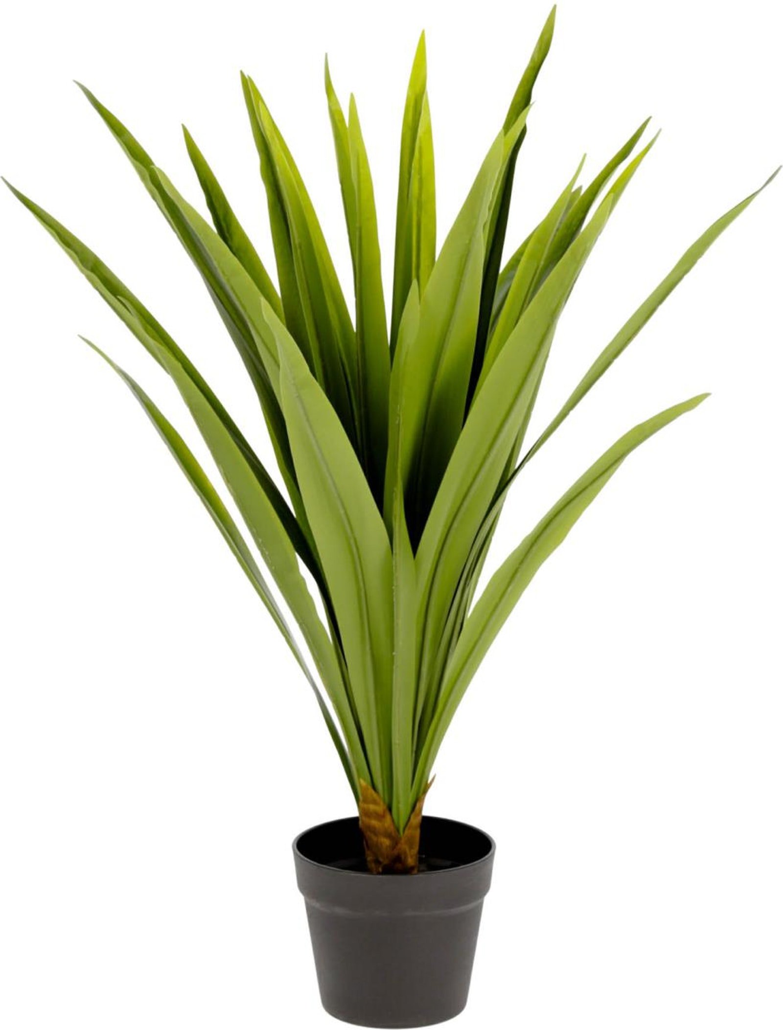Yucca, Kunstig plante, moderne, plast by LaForma (H: 80 cm. B: 60 cm. L: 60 cm., Grøn/Sort)