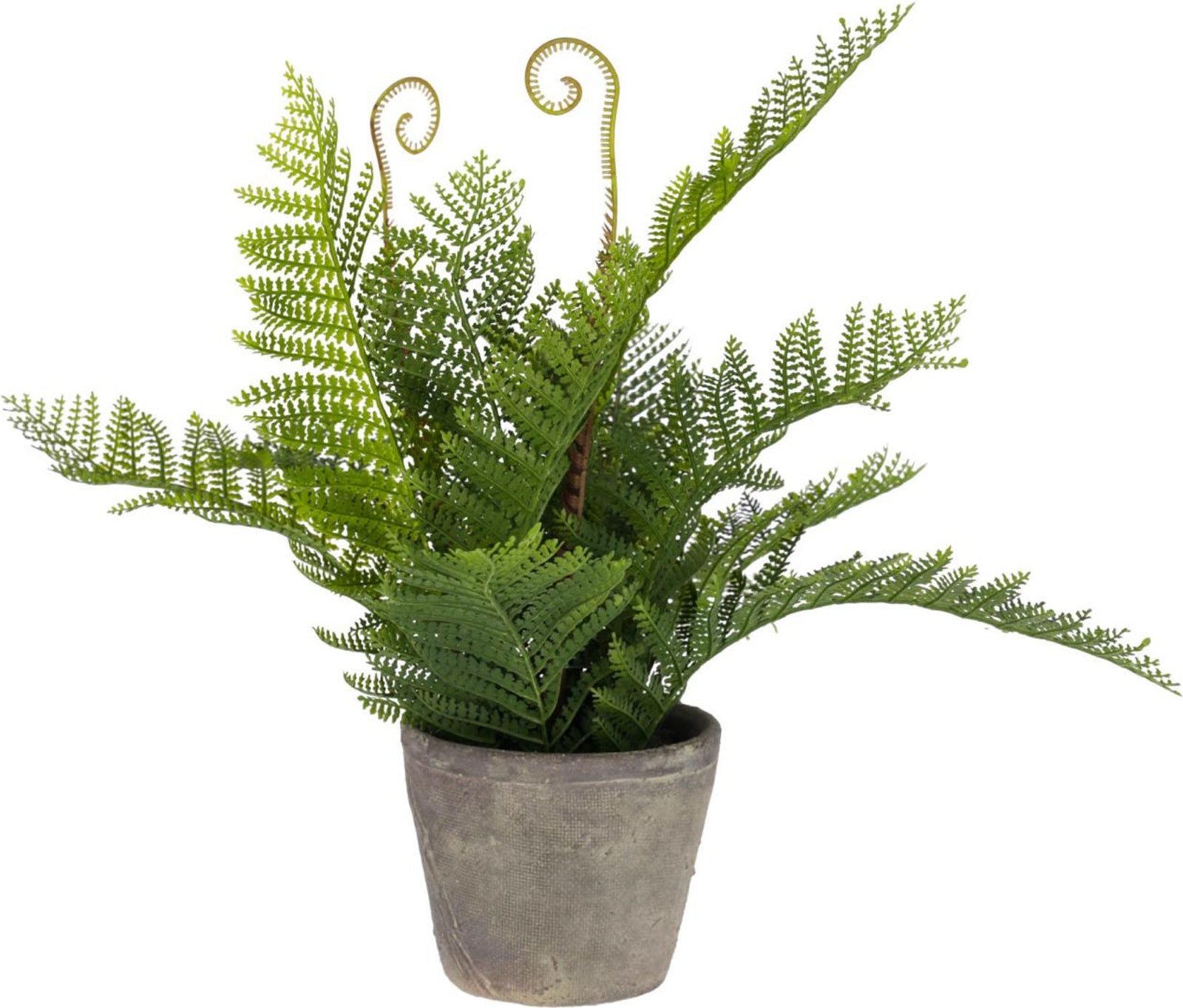 På billedet ser du variationen Filicopsida, Kunstig plante, moderne, plast fra brandet LaForma i en størrelse H: 35 cm. B: 40 cm. L: 40 cm. i farven Grøn/Grå