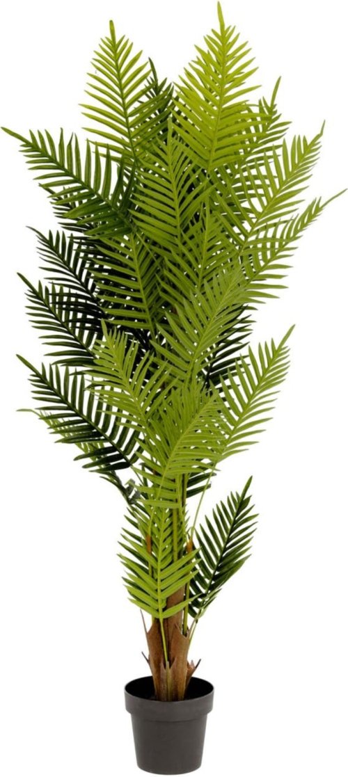 På billedet ser du variationen Palmera, Kunstig plante, moderne, plast fra brandet LaForma i en størrelse H: 150 cm. B: 70 cm. L: 70 cm. i farven Grøn/Sort