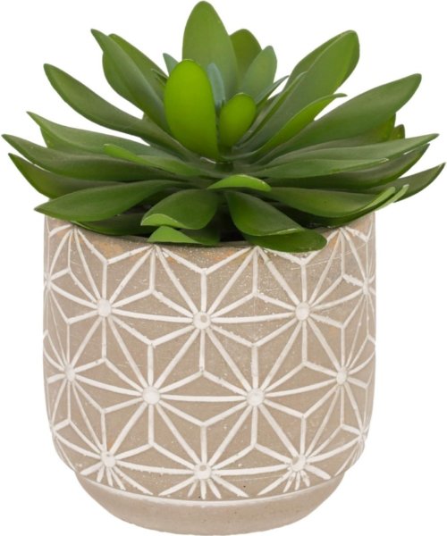 På billedet ser du variationen Cactus, Kunstig plante, moderne, plast fra brandet LaForma i en størrelse H: 17 cm. B: 14 cm. L: 14 cm. i farven Grøn/Grå
