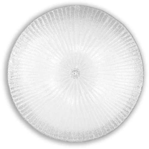 På billedet ser du variationen Shell, Loftslampe, Pl6, glas fra brandet Ideal Lux i en størrelse D: 60 cm. x H: 20 cm. i farven Gennemsigtig