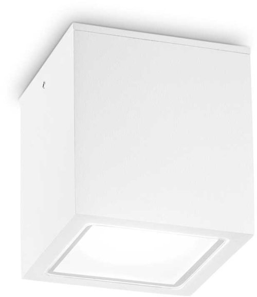 På billedet ser du variationen Techo, Udendørs loftslampe, Pl1, metal fra brandet Ideal Lux i en størrelse H: 9 cm. x B: 9 cm. x L: 9 cm. i farven Hvid