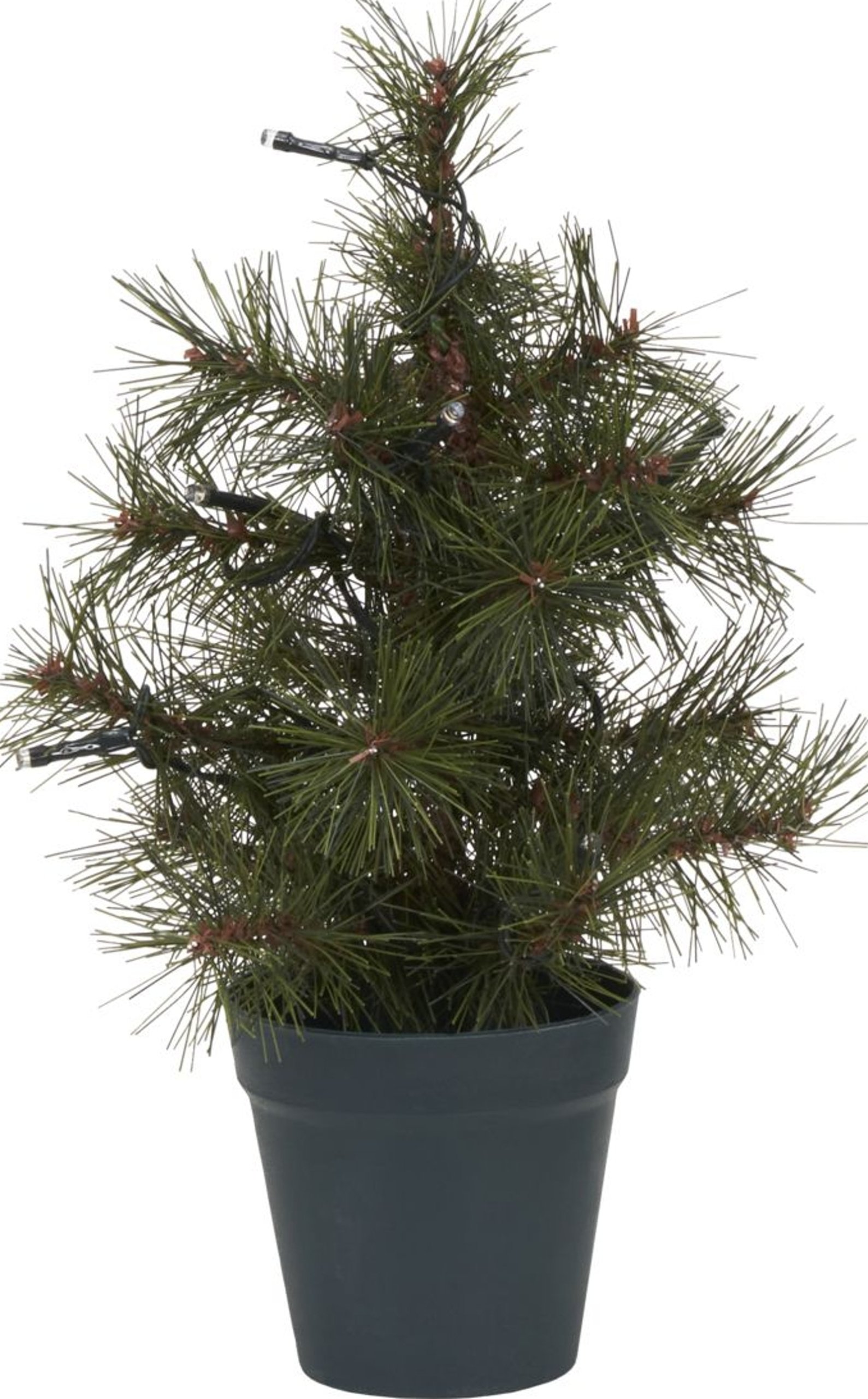 På billedet ser du variationen Pinus, Juletræus fra brandet House Doctor i en størrelse H: 30 cm. i farven Mørkegrøn