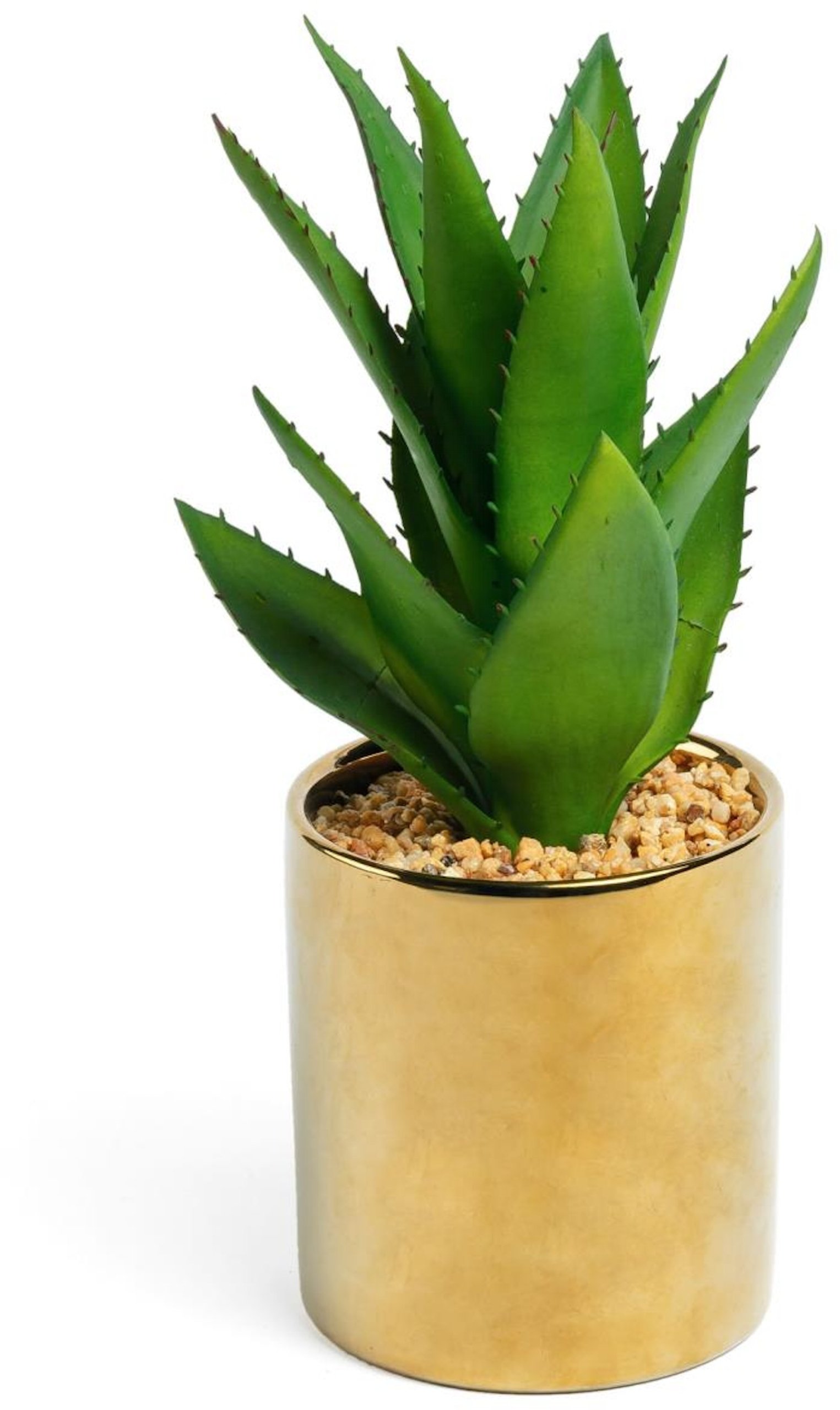 Agave, Kunstig plante, Plast by LaForma (H: 11 cm. x B: 20 cm. x L: 20 cm., Guld/Grøn)