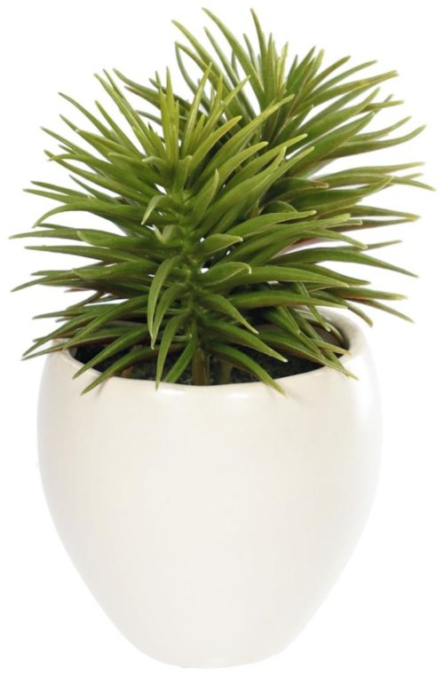 På billedet ser du variationen Pino, Kunstig plante, Plast fra brandet LaForma i en størrelse H: 16 cm. x B: 12 cm. x L: 12 cm. i farven Hvid