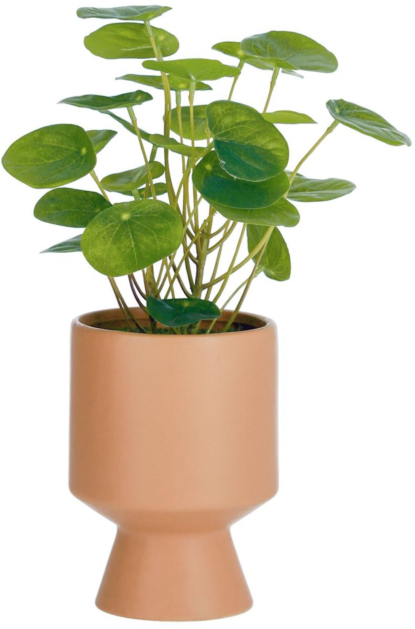 Bailey, Kunstig plante, Plast by LaForma (H: 28 cm. x B: 20 cm. x L: 20 cm., Lyserød)
