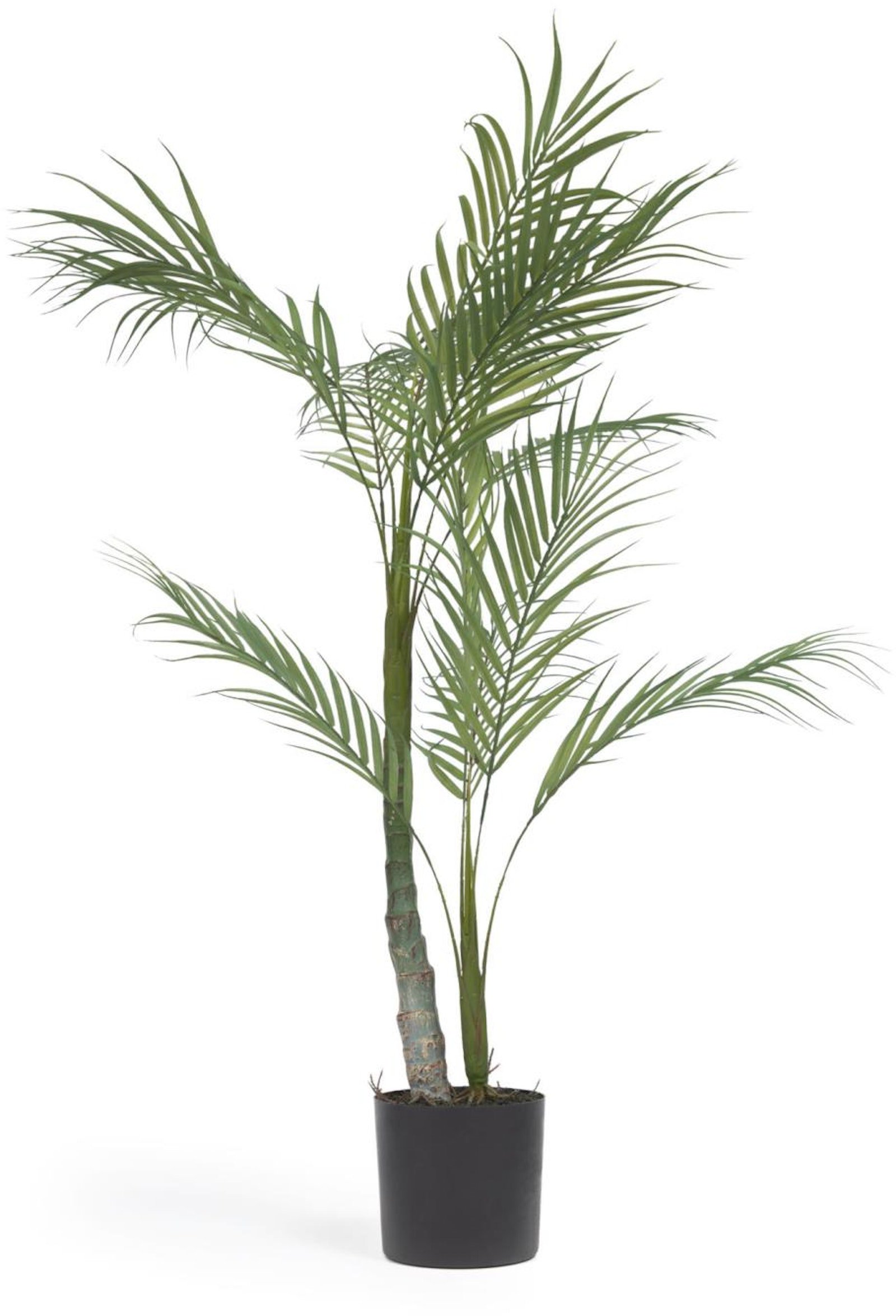 Palmera, Kunstig plante, plast by LaForma (H: 70 cm. x B: 70 cm. x L: 60 cm., Sort)