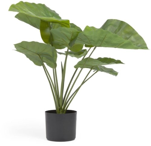 På billedet ser du variationen Alocasia, Kunstig plante, plast fra brandet LaForma i en størrelse H: 57 cm. x B: 63 cm. x L: 63 cm. i farven Sort