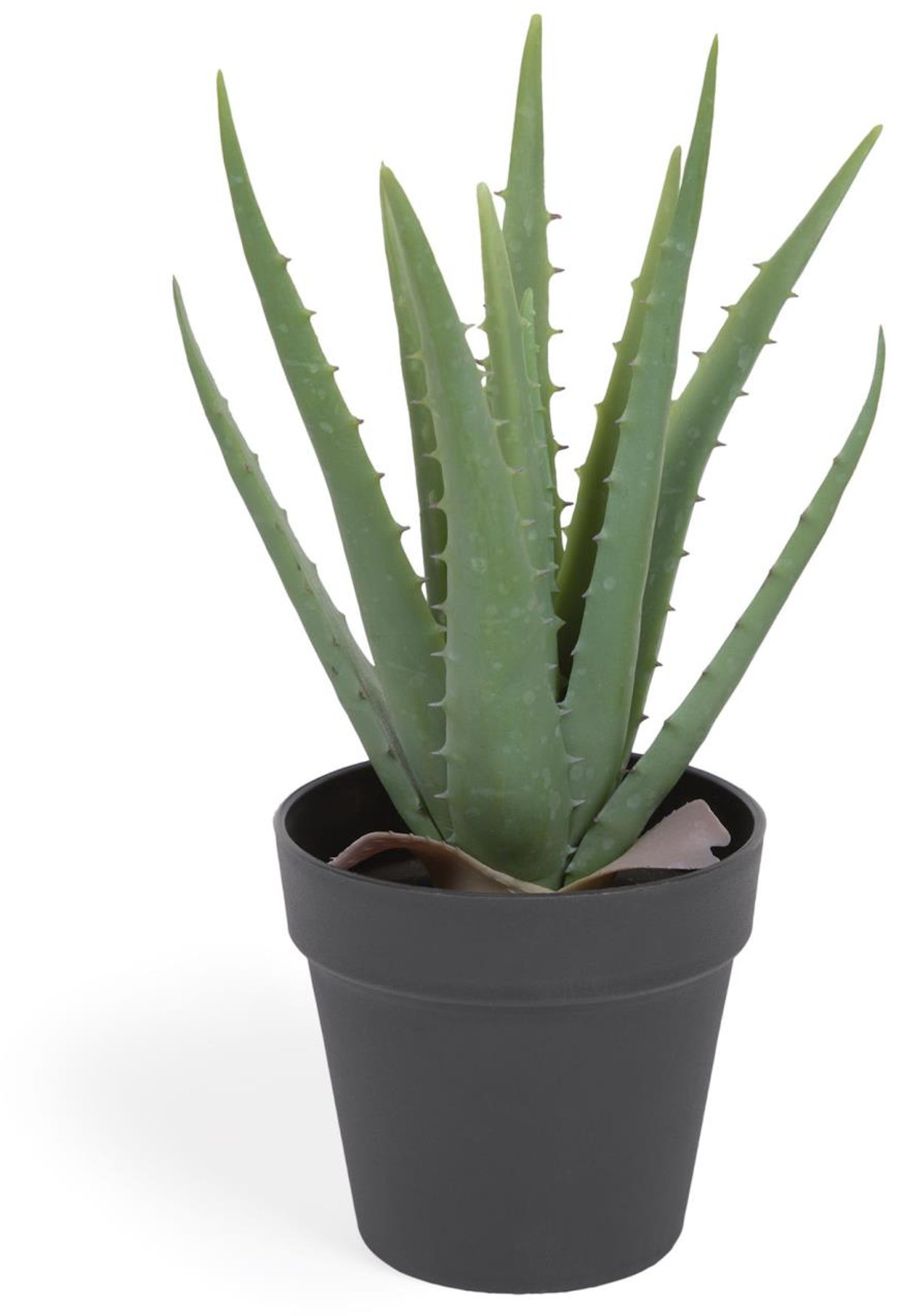 Aloe vera, Kunstig plante, plast by LaForma (H: 36 cm. x B: 27 cm. x L: 27 cm., Sort)