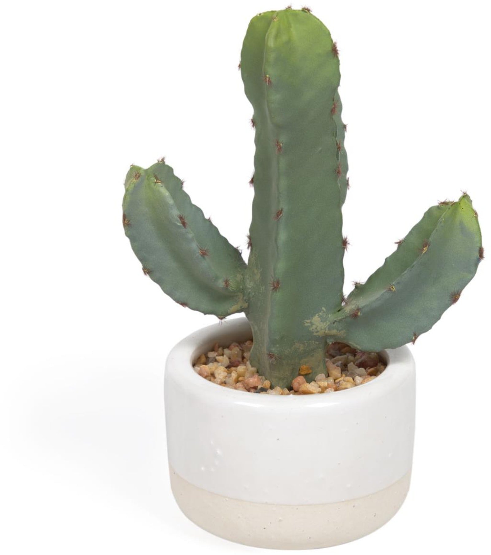 Cactus, Kunstig plante, plast by LaForma (H: 22 cm. x B: 13 cm. x L: 10 cm., Hvid)