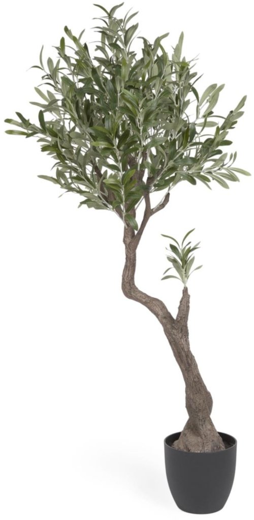 På billedet ser du variationen Olivo, Kunstig plante, plast fra brandet LaForma i en størrelse H: 140 cm. x B: 55 cm. x L: 50 cm. i farven Sort